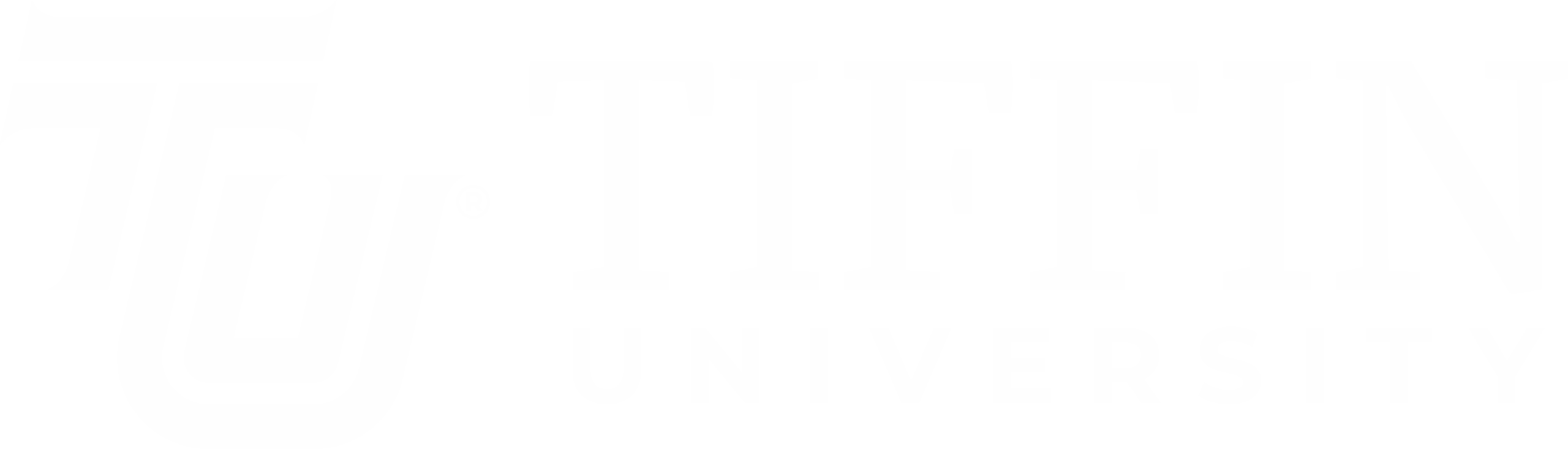 Tiffin University Logo